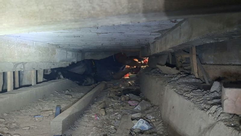 Damkar Temanggung Evakuasi Kucing yang Terjebak Dua Hari di Plafon Rumah Warga Kandangan