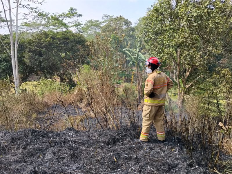 Damkar Temanggung Padamkan Kebakaran Lahan di Rest Area Nglarangan Ngipik